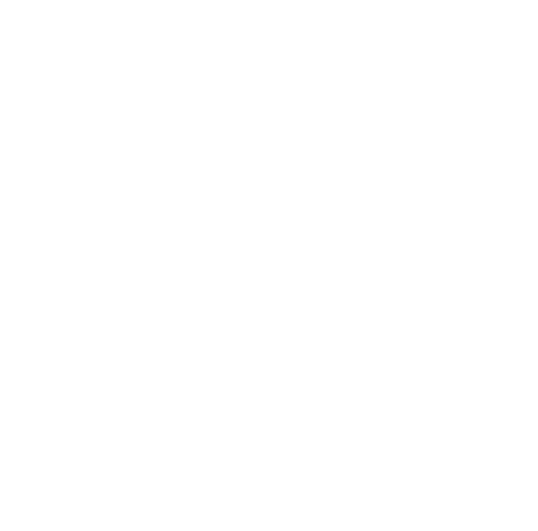 The One Academy  Awards